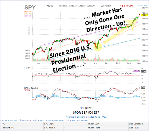 stock market post trump election