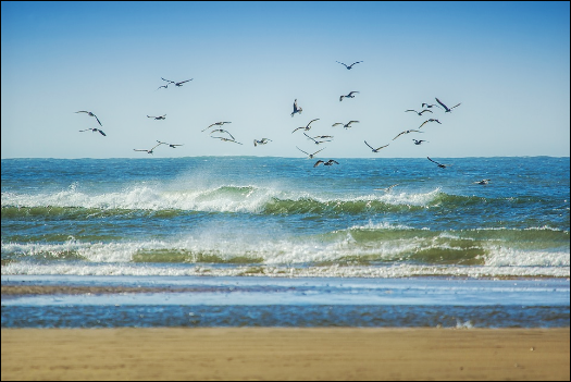 MACD Histogram Like Waves on a Beach When Selling Puts